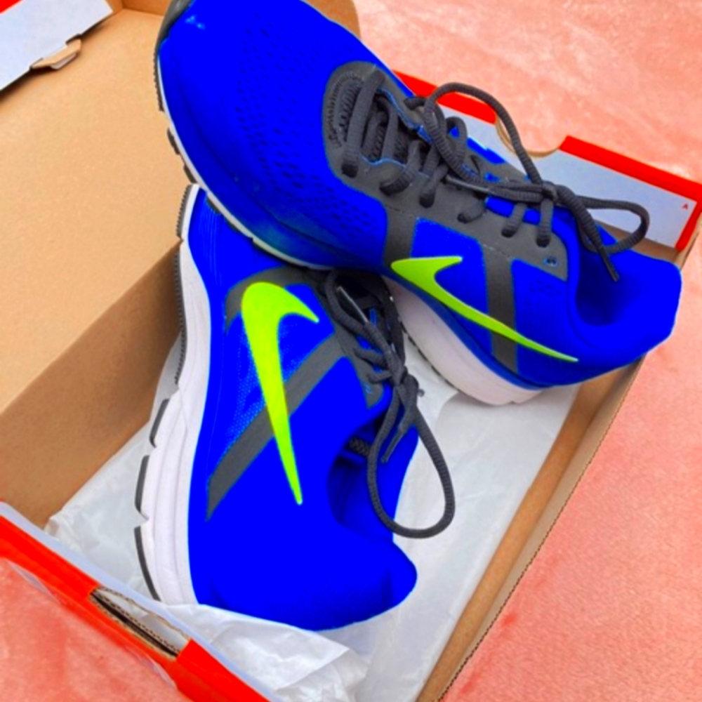 Mens Nike Pegasus 30 Size 8